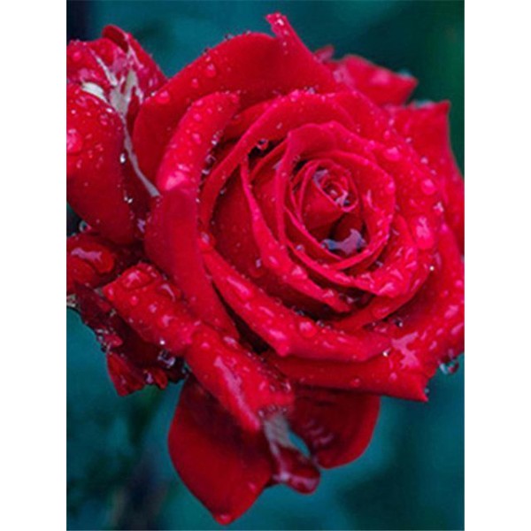 5D Kit Broderie Diamants/Diamond Painting Grosses Soldes Meilleur Décoratif Fleur Rose Rouge