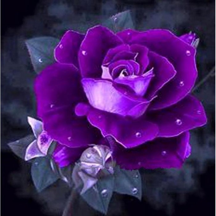 5D Kit Broderie Diamants/Diamond Painting Tableau D'Une Rose Violette