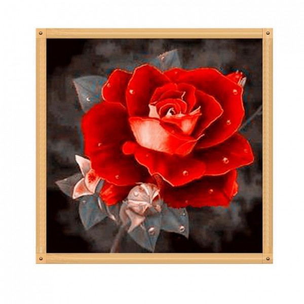 5D Kit Broderie Diamants/Diamond Painting Jolies Roses Rouges