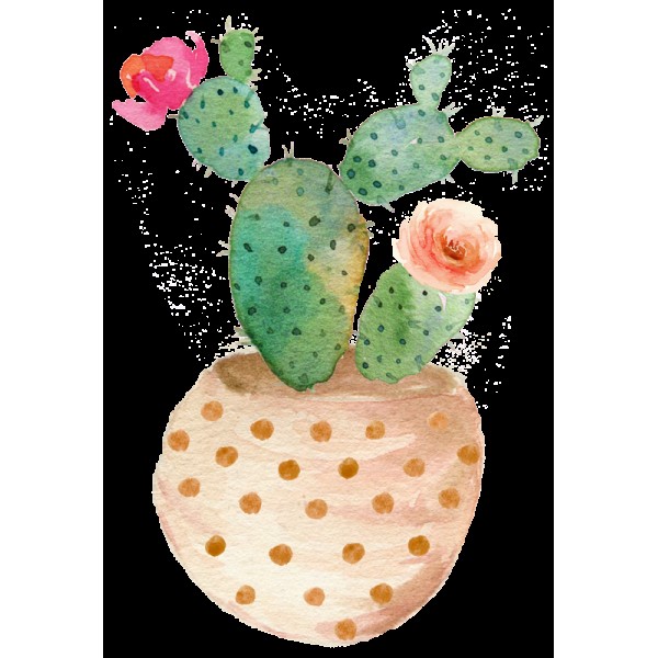 5D Kit Broderie Diamants/Diamond Painting Photo De Cactus Et De Fleurs
